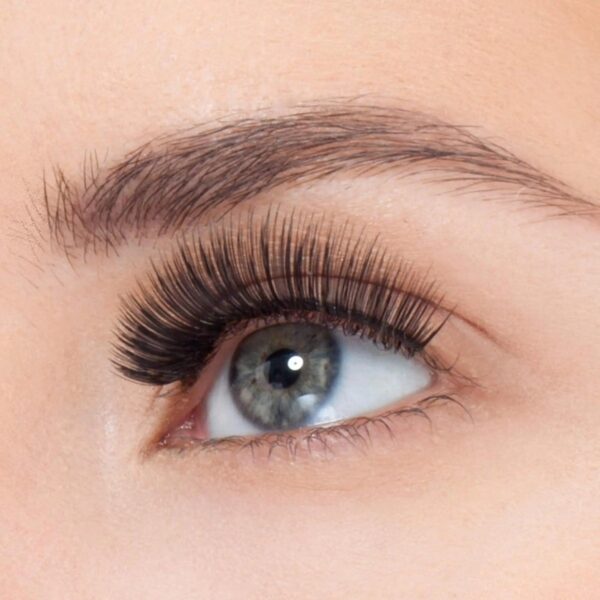 Kiss Lash So Wispy Curated Collection 5-Pairs Let's Glamorize
